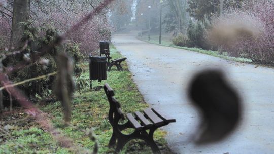 Lublin: To już czwarty przetarg na odnowę Parku Ludowego. "Liczymy na niższe ceny"