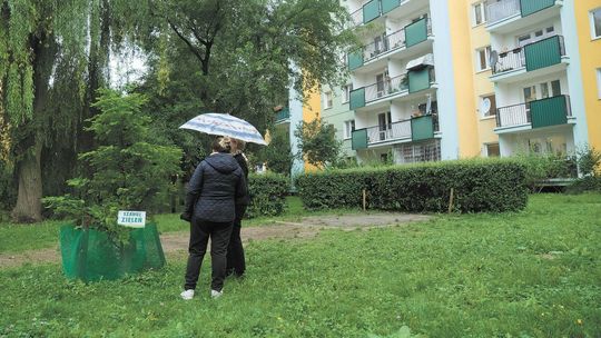 Lublin. Trawnik albo plac zabaw. Będzie referendum?
