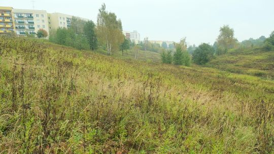 Lublin: Tutaj już wcześniej próbowali wstawić bloki. Deweloper miał zawartą z miastem umowę drogową