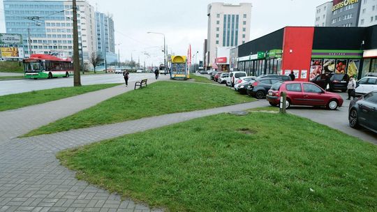 Lublin: Tutaj ma być ładniej, bo posadzą nowe krzewy, drzewa i trawy