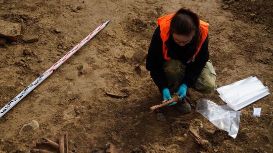 Lublin. Tutaj Niemcy dokonywali egzekucji. Na górkach czechowskich odkopano kolejne kości ludzkie