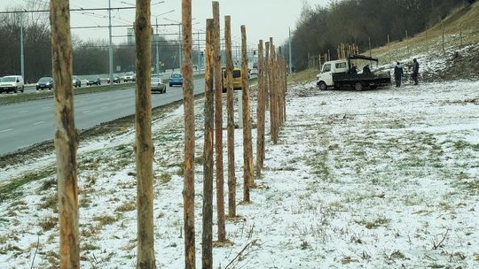 Lublin: Tutaj powstanie nowa stacja paliw. Mimo protestów