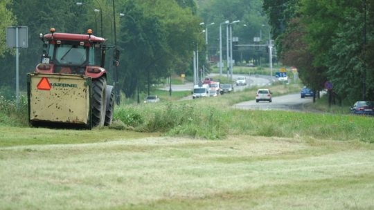 Lublin: Tutaj skoszą trawę, tam zostawią. "Wybujała trawa jest bardziej pożyteczna"