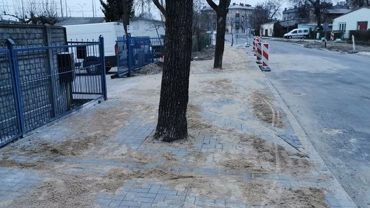 Lublin: Tutaj znowu nie szanowano drzew. Ekolodzy dostrzegli problem
