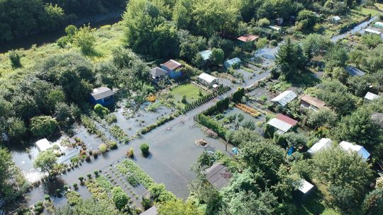 Lublin: Uprawy i altanki działkowców pod wodą. 10 hektarów rozpaczy [zdjęcia]