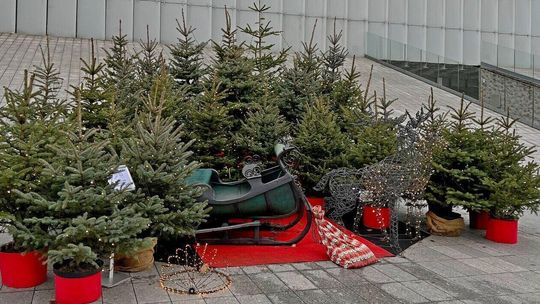 Lublin w klimacie Bożego Narodzenia