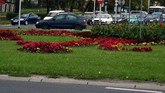 Lublin: W tych miejscach pojawi się nowa zieleń