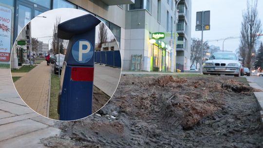 Lublin. W tym miejscu parkomaty rosną znienacka i równie nagle znikają