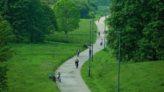 Lublin. Wąwóz do poprawki. Zniknie stara alejka spacerowa