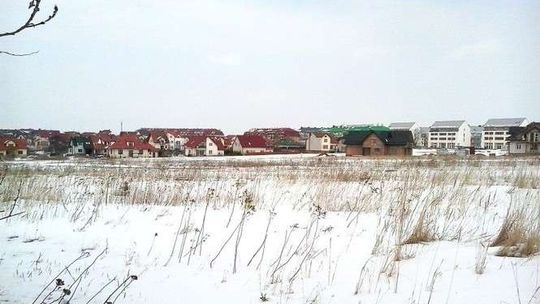 Lublin wchłonie sąsiednie miejscowości? Radny wskazuje osiedle Borek