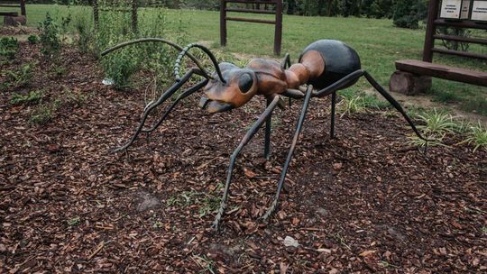Lublin: Wcześniej było tu wysypisko śmieci. Teraz jest nowy park [zdjęcia]