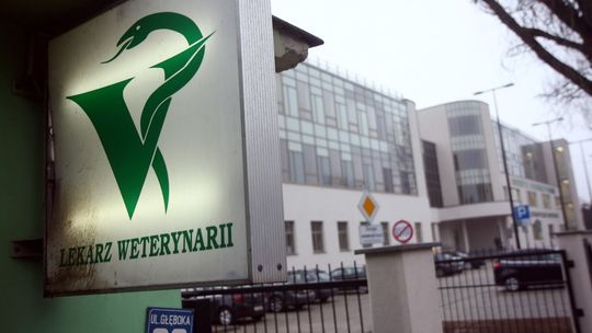 Lublin: Weterynarz przy ul. Głębokiej będzie czynny całą dobę