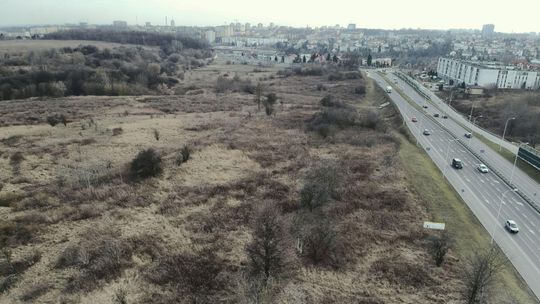 Lublin: Wycinka 220 drzew na górkach czechowskich. Spółka TBV Investment stara się o pozwolenie