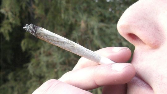 Lublin. Wyjątkowo wstydliwa wpadka. Zaproponował skręta policjantowi