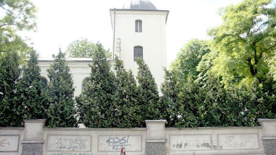 Lublin: Wymalowali roślinę na parkanie zabytkowej cerkwi