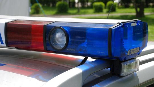 Lublin: Wyrzucił kota z 10 piętra w trakcie imprezy