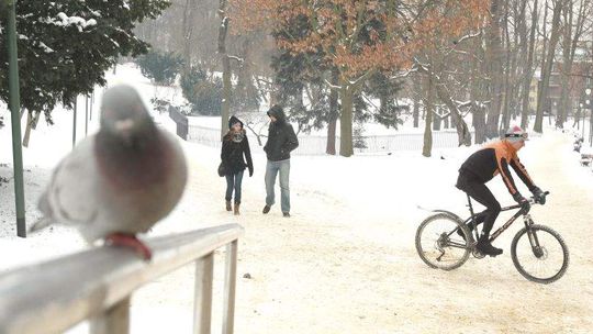 Lublin: Zamkną Ogród Saski na noc czy nie?