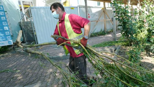 Lublin: Zamojska zamknięta dla ruchu, komunikacja na objazdach