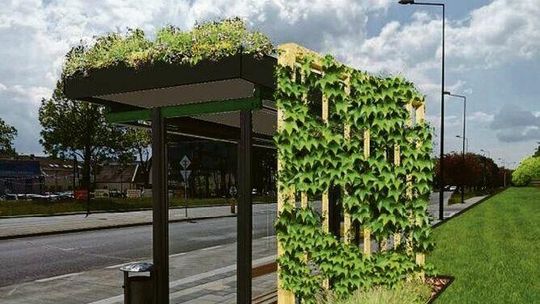 Lublin zapłaci 72 tysiące złotych za zielony przystanek