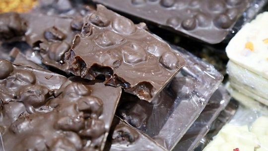 Lublin zaprasza na festiwalowy weekend pełen smaków i emocji!