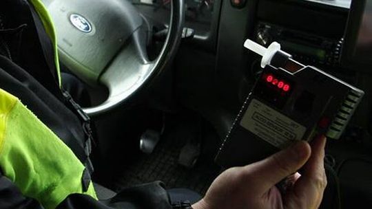 Lublin. Zatrzymał pijanego kierowcę podczas spaceru z psem