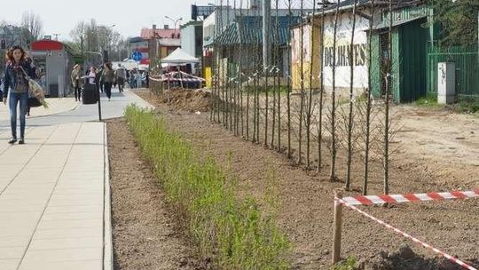 Lublin: Zieleń zasłoni kioski przy al. Tysiąclecia