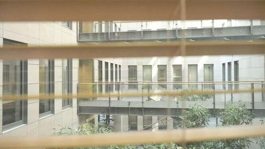 Lublin: Zielony tropik w nowym budynku Urzędu Marszałkowskiego