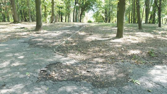 Lublin: Zmiany w parku akademickim UMCS. Kolejne alejki do remontu