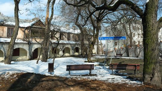 Lublin. Znamy zwycięzców głosowania w "Zielonym Budżecie"