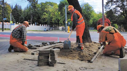 Lublin: Znikają płyty chodnikowe wokół drzew