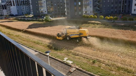 Lublin: Żniwa pod oknami bloków. W okolicy cieszą się z takich widoków, a rolnik pozdrawia mieszkańców