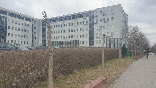 Lublin: Znowu jest problem z drzewami. "Drzewo da się jeszcze uratować"