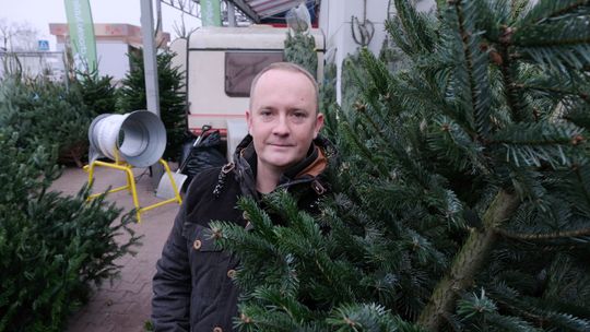 Lublinianie tęsknią za atmosferą świąt. "Zainteresowanie choinkami zaczęło się znacznie wcześniej"