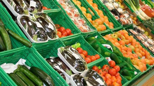 Ludwin: Zakupy na targu, w drodze nad jeziora