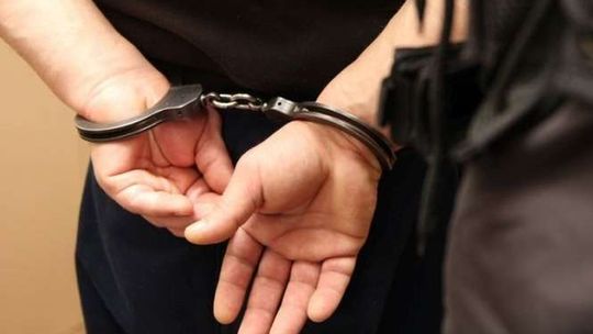 Ludwin: Zatrzymany włamywacz do domków letniskowych