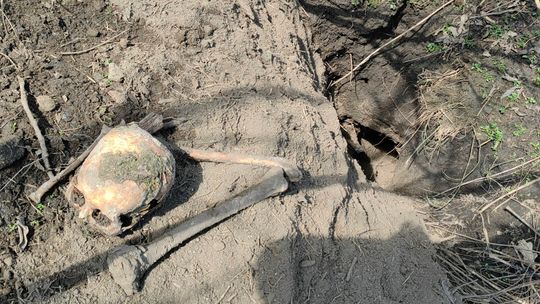 Ludzkie kości porozrzucane po cmentarzu. Co się stało w Zadębcach?