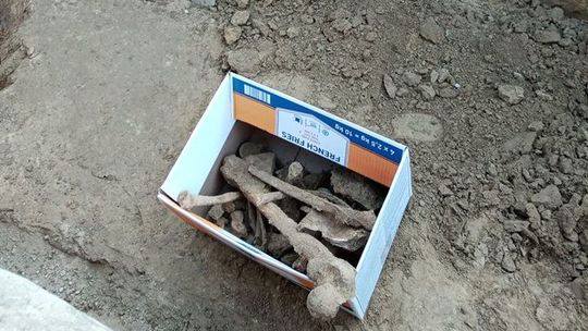 Ludzkie szczątki pod jezdnią na ul. Lipowej. „Nikt się tego nie spodziewał”