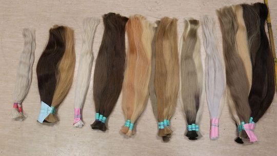 Ludzkie włosy i chomiki ukryte w bagażu. Witamy na kontroli granicznej 