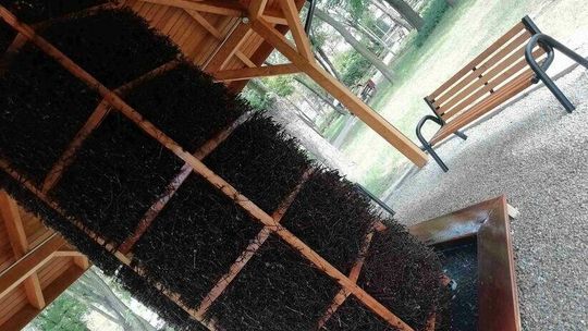 Łuków: 11 pomysłów na miasto. Lista projektów