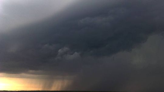 Łuków: Trąba powietrzna zrywała dachy, powaliła dziesiątki drzew 