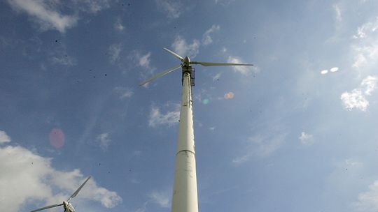 Łuków: Zielone światło dla zielonej energii