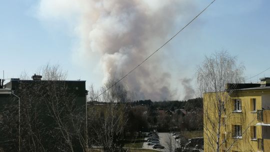 Łuna nad Chełmem. Ktoś podpalił jeden z najcenniejszych rezerwatów