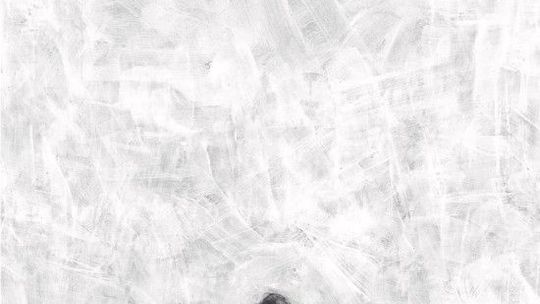 Magdalena i Ludomir Franczak w Galerii Białej