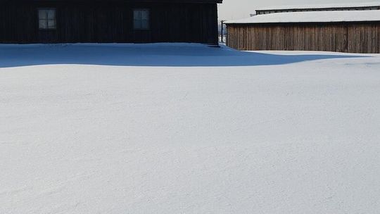 Majdanek w obiektywie Leszka Mądzika. Wystawa fotografii