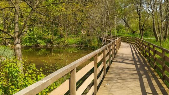 Majówka 2023. Niedawno to były stawy hodowlane. Teraz miejsce spacerowe w gminie Głusk