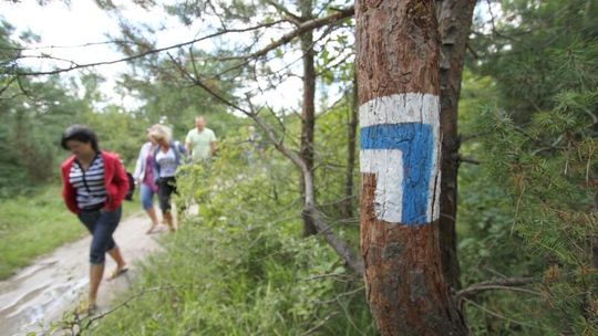 Majówka na Pojezierzu Łęczyńsko-Włodawskim