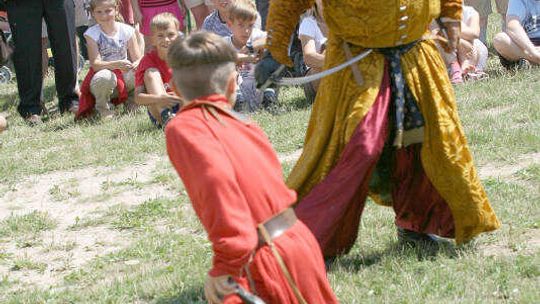 Majówka na Zamku w Janowcu. Inscenizacje, pokazy i turnieje