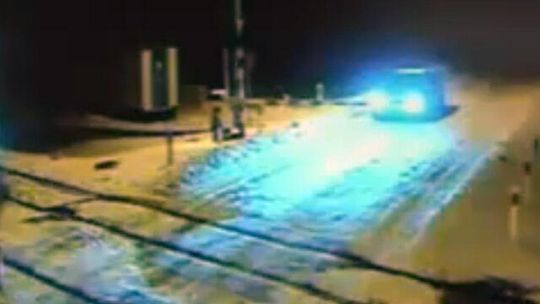 Makabra w Czosnówce. 22-latek zostawił psa na torach, sam odskoczył (wideo)