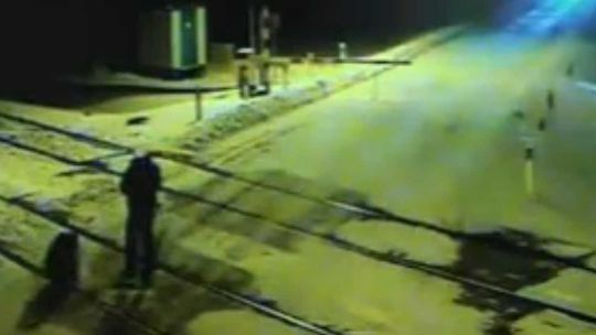 Makabra w Czosnówce: Petycja i śledztwo 