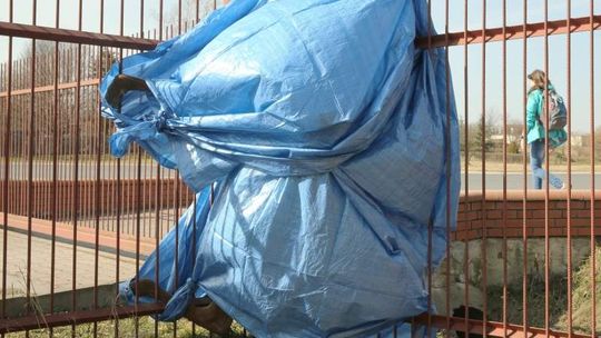 Makabra w Krężnicy Jarej. Jeleń skonał na płocie